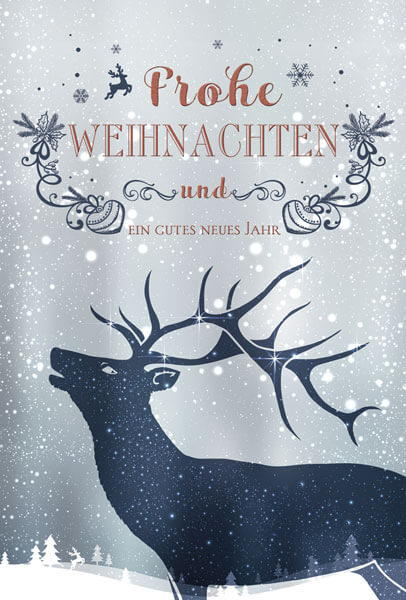 Weihnachtskarte 0430188319